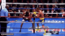 Lomachenko Boxing GIF - Lomachenko Boxing Combo GIFs