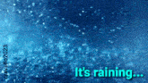 Its Raining Coming Down Outside GIF - Its Raining Coming Down Outside Cats And Dogs GIFs