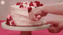Torta GIF - Torta GIFs