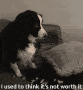 a black and white dog sitting on a couch with the words i used to think it 's not worth it below it