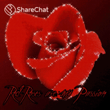 Red Roses Are My Passion लालगुलाबमेराजुनूनहै GIF