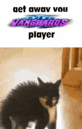 a black and white cat is standing in front of a vanguards logo