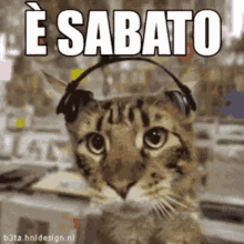 èsabato2 Cat GIF - èsabato2 Cat Soundtrip GIFs