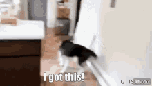 Gone To The Snow Dogs Husky GIF - Gone To The Snow Dogs Husky Siberian Husky GIFs
