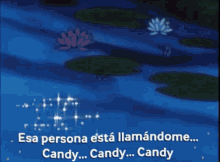 Candycandy Anohito GIF - Candycandy Anohito Candyyalbert GIFs