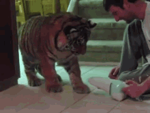 tiger attack play dustbuster vacuum