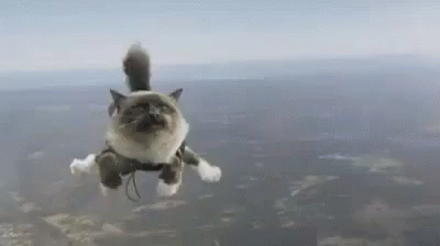 Magic Cat GIF - Magic Cat Sky Diving GIFs
