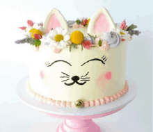Cat Cake GIF - Cat Cake GIFs