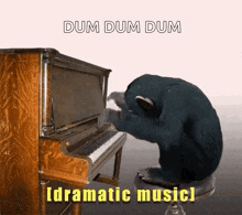 Dramatic Music GIF - Dramatic Music Monkey GIFs