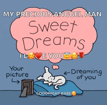 a cartoon says " my precious anggel man sweet dreams i love you your picture and dreaming of you goodnight babe "