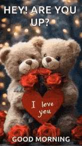 two teddy bears are hugging each other and holding a red heart .