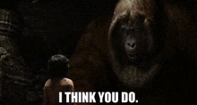 The Jungle Book King Louie GIF - The Jungle Book King Louie I Think You Do GIFs