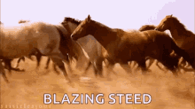 Horses Running GIF - Horses Running Blazing Steed GIFs