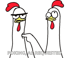 Chicken Chicken Bro GIF - Chicken Chicken Bro Poke GIFs
