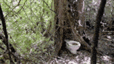 Wild Toilet GIF - Wild Toilet GIFs