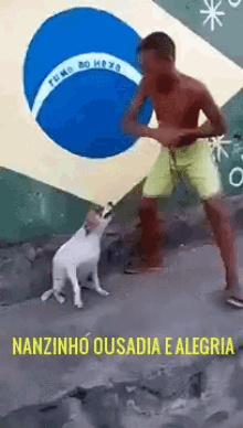 Campeonatolbr Dance GIF - Campeonatolbr Dance Dance With Pet GIFs