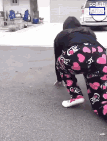 Tripped Over By Dog Tripped GIF - Tripped Over By Dog Tripped Dog GIFs