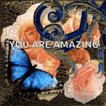 Flowers Butterfly GIF - Flowers Butterfly You Are Amazing GIFs