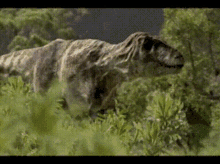 Tyrannosaurus Trex GIF - Tyrannosaurus Trex Sniffing GIFs