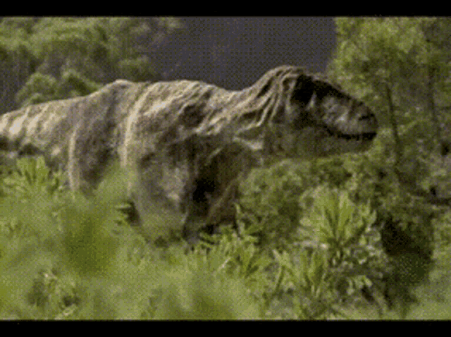 Tyrannosaurus Trex GIF - Tyrannosaurus Trex Sniffing ...