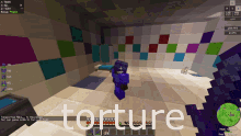 Torturing In Minecraft Torturing People In Minecraft GIF - Torturing In Minecraft Torturing People In Minecraft A Gif About Torturing Minecraft People GIFs