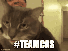 Teamcas Teamcasper GIF - Teamcas Teamcasper Cat GIFs