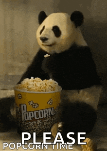 popcorn panda popcorn day popcorn time chew