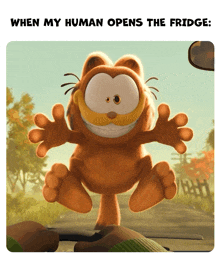 a picture of garfield with the words when my human opens the fridge