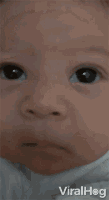 a close up of a baby 's face with the words viralhog on the bottom