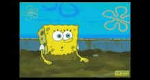 What The Hell Spongebob GIF - What The Hell Spongebob Stuck GIFs