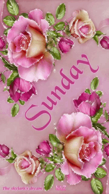 sunday pink flowers