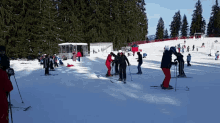 a group of people are skiing down a snowy slope