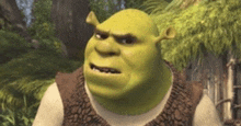 Confused Shrek GIF - Confused Shrek GIFs