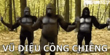 đườiươi, Nhảy, Vượn, Khỉ GIF - Gorilla Dance Humor GIFs