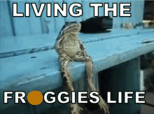 Froggies Froggiestoken GIF - Froggies Froggiestoken Froggiesarmy GIFs