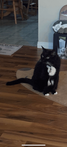 a black and white cat is sitting on a rug in front of a sign that says " i love my home "