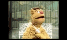 The Muppets Bobo GIF - The Muppets Bobo Bear GIFs