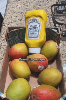 a bottle of heinz yellow mustard sits next to a box of mangoes