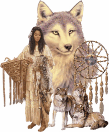wolf dream catcher pack of wolves glittery sparkle
