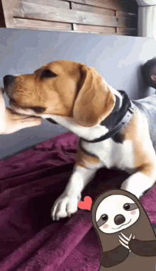 Cute Pet GIF - Cute Pet Pup GIFs