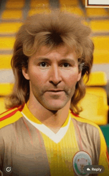 a man with a mullet is wearing a yellow and red shirt with a reply button below him