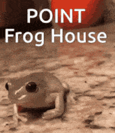 a frog is crawling on the ground with the words point frog house below it