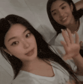 two girls are posing for a picture and one of them is waving at the camera .
