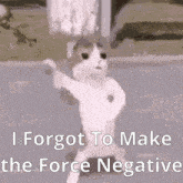 Negativeforce Cat Dancing GIF