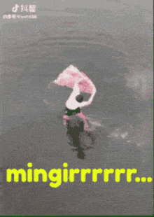 Miggi Mingir GIF - Miggi Mingir Menjaring GIFs