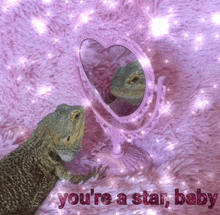 a lizard looking at itself in a heart shaped mirror with the words " you 're a star baby "