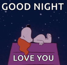 a cartoon of snoopy laying on a bed with the words good night love you