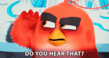 do you hear that listen pay attention angry birds