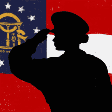 Georgias Veteran Georgia Veteran GIF - Georgias Veteran Georgia Veteran Veteran GIFs