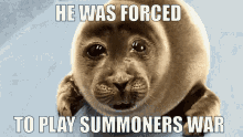 he was forced to play summoners war